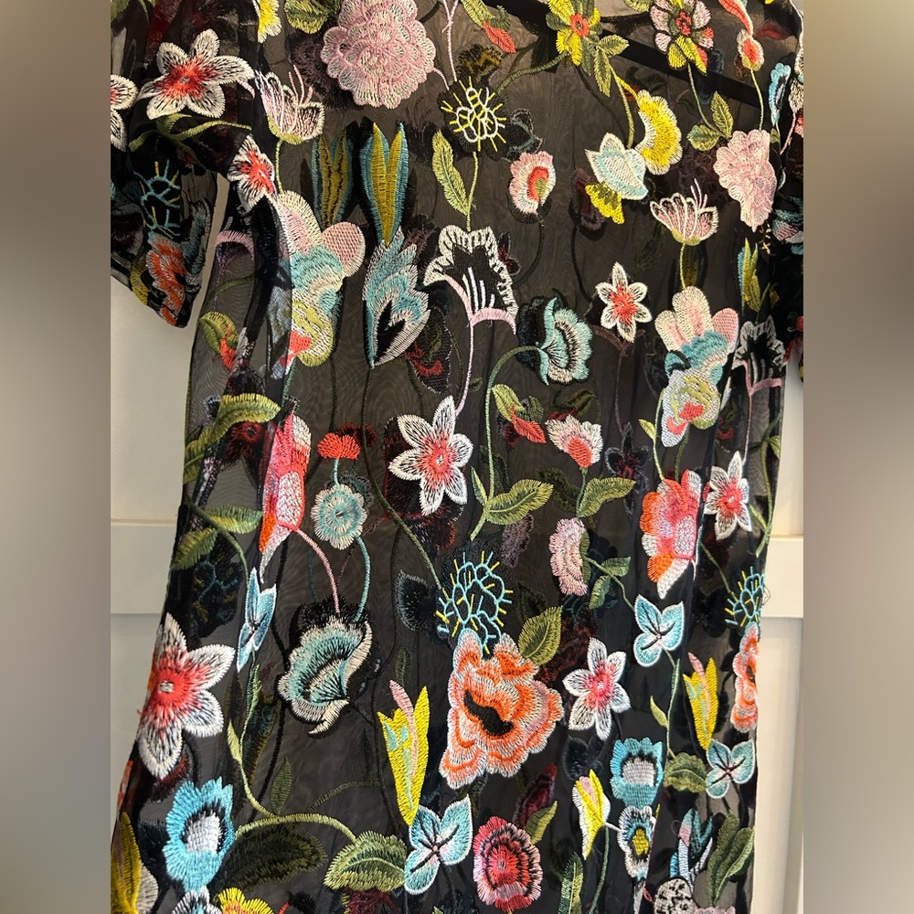 🌶️ RAGYARD Sheer T-Shirt Dress. Size S\M - Picture 4 of 5